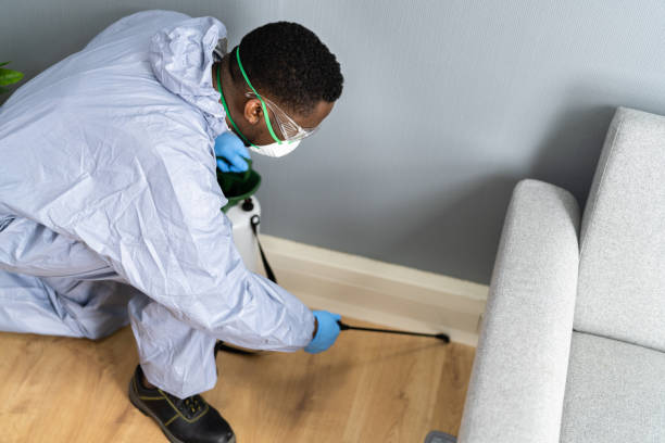 Reliable Laurel, DE Pest control Solutions